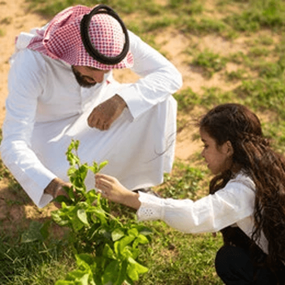 أفضل تصاميم الحدائق المنزلية الحديثة في الرياض